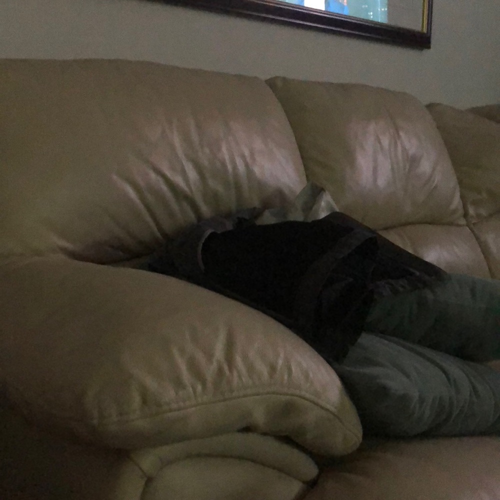 Meet your Posher, David